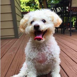 Meet your Posher, Alyssa